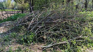 Дрова: Дрова Тополь, Самовывоз — 7