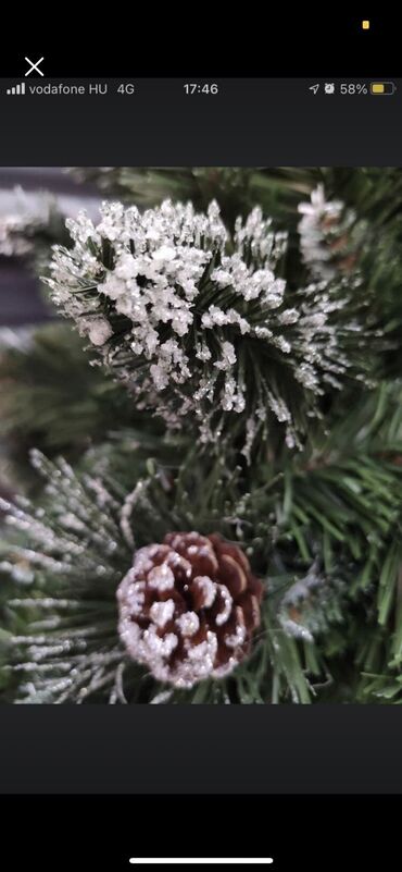 Praznična dekoracija: Jelka, Novo — 6