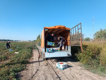 грузовой бус: Грузовые перевозки по городу регионы