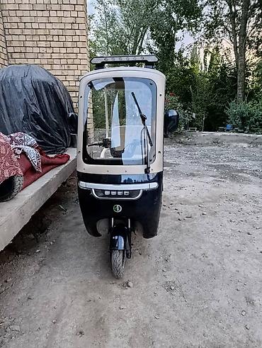 srs nomer: Электрический трёхколёсный скутер DEMANSH с крышей и остеклённой — 1