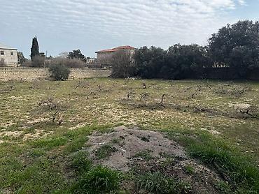 sagan kirayə evlər: 15 sot, Tikinti, Kupça (Çıxarış) — 2