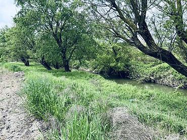 Torpaq sahələrinin satışı: Kənd təsərrüfatı, Kupça (Çıxarış) — 9