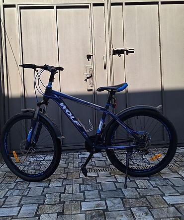 İdman velosipedləri: Şəhər və yüngül off-road istifadəsi üçün dağ velosipedi. - — 2