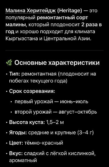 Малина: Продается саженцы элитный сорт малины ХЕРИТЕЙДЖ. Ремонтантная — 9