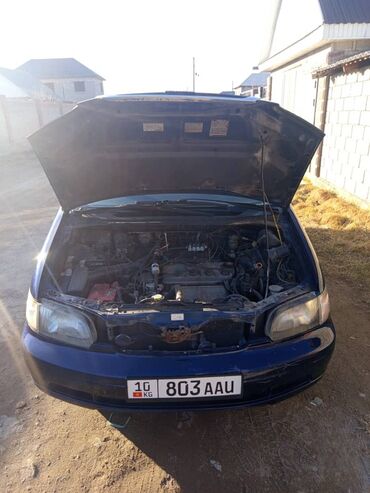 Isuzu: Isuzu : 1998 г., Автомат — 13