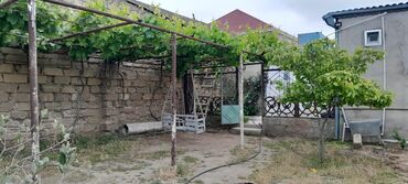 Həyət evləri və villaların satışı: Salam sexsi evimizi satib tecili kocuruk 8 sotda 5 otaqli kamunallari — 1