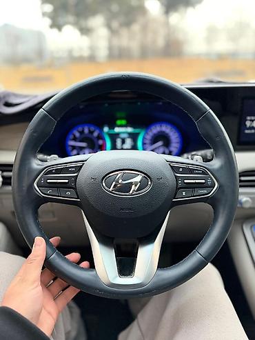 Hyundai: Hyundai Palisade: 2019 г., Автомат, Кроссовер — 10