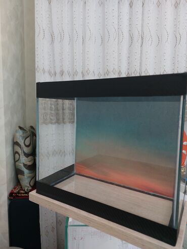 Akvariumlar: Şüşə akvarium – dekorativ fonlu modellər ölçü 30×25×15 Məhsul təsviri — 30