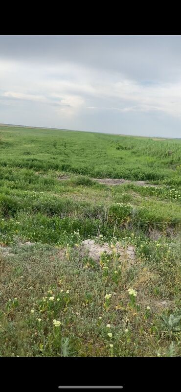 частный дом на длительный срок: 8 соток Айыл чарба үчүн