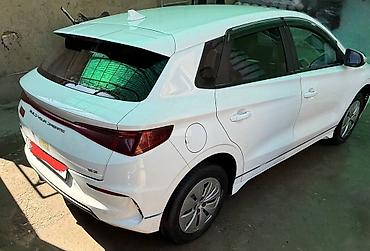 BYD: BYD E2: 2021 г., Электромобиль, Хэтчбэк — 12