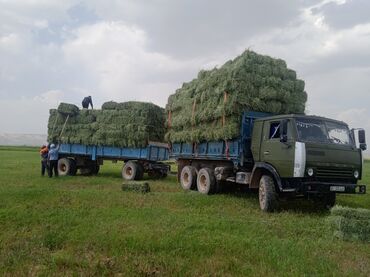диски на авто бу: Жүк ташуучу унаа, Камаз, Колдонулган