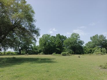 Torpaq sahələrinin satışı: 12 sot, Tikinti, Mülkiyyətçi, Kupça (Çıxarış) — 3