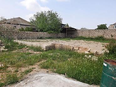 Torpaq sahələrinin satışı: 3 sot, Bələdiyyə -da lalafo.az — 8 Torpaq sahələrinin satışı: 3 sot, Bələdiyyə — 8