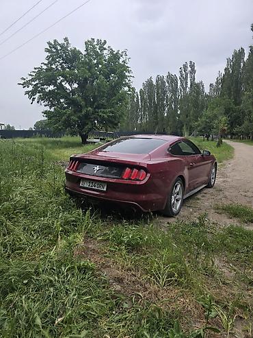 mustang: Ford Mustang: 2017 г., 3.7 л, Автомат, Бензин, Купе — 4