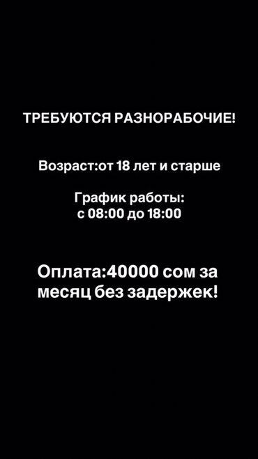 жумуш водитель бишкек: Талап кылынат Ар түрдүү жумуштарды жасаган жумушчу, Төлөм Ай сайын, Тажрыйбасыз