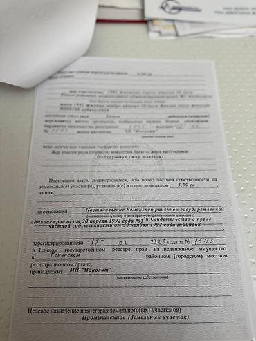кемин 9: 350 соток, Для бизнеса — 9
