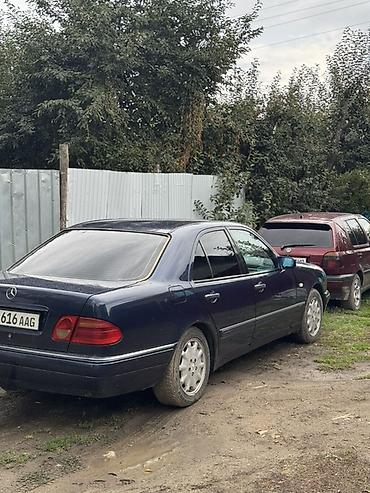 аудбек продажа: Mercedes-Benz E-Class: 1996 г., Механика, Седан — 2