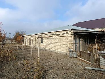 Torpaq sahələrinin satışı: 25 sot, Kənd təsərrüfatı, Mülkiyyətçi, Kupça (Çıxarış) -da lalafo.az — 15 Torpaq sahələrinin satışı: 25 sot, Kənd təsərrüfatı, Mülkiyyətçi, Kupça (Çıxarış) — 15