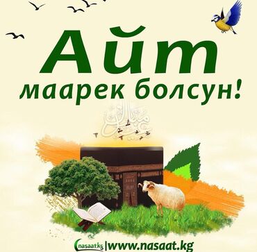 промышленные швейные машины в рассрочку: Посудомойщицы
