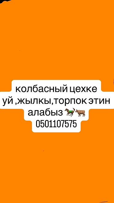 фарель ош: Эт бөлүгү — 1