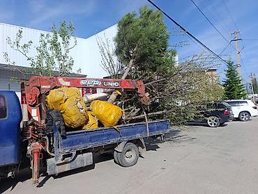 smart logistics: Услуги манипулятора (малотоннажный бортовой грузовик с краном UNIC) — 5