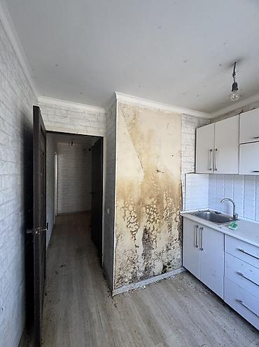 квартира чайка: 1 комната, 31 м², Индивидуалка, 1 этаж, Требуется ремонт — 9