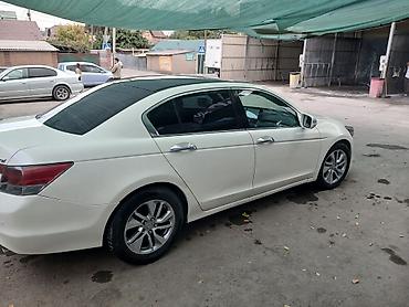 Продажа авто: Honda Accord: 2009 г., 3.5 л, Бензин, Седан — 3