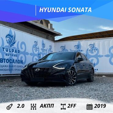 саната нурайст: Hyundai Sonata: 2019 г., 2 л, Автомат, Газ, Седан