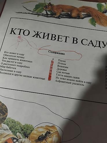 local guide program: Энциклопедия живой природы — крупный иллюстрированный справочник о — 7