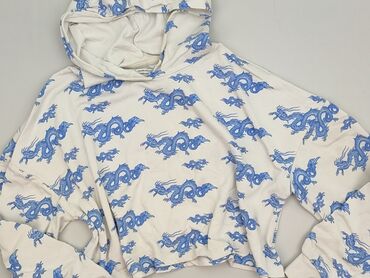 t shirty alpha industries: House, Women`s hoodie, size L (EU 40)