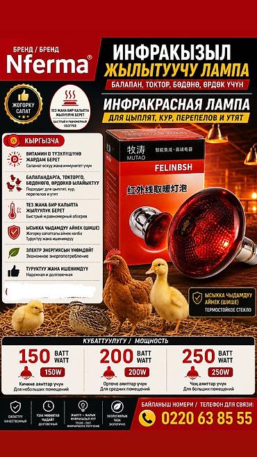 крылышки куриные: Лампа инфракрасный
Лампа для цыплят — 1