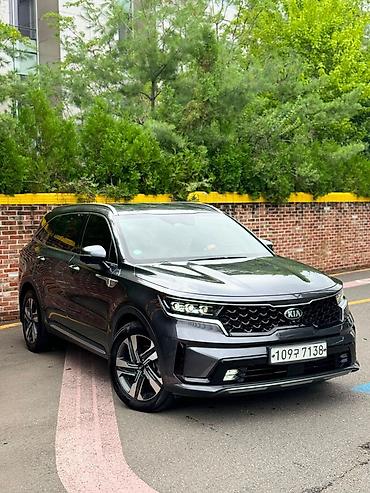 кия молдник: Kia Sorento: 2020 г., 1.6 л, Автомат, Гибрид, Кроссовер — 3