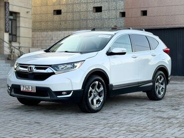 багаж адиссей: Honda CR-V: 2019 г., 1.5 л, Вариатор, Бензин, Внедорожник