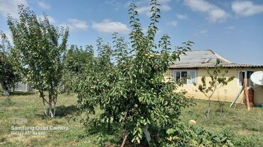 Həyət evləri və villaların satışı: 6 otaqlı, 150 kv. m, Orta təmir — 33