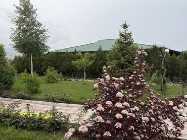 как дешево отдохнуть на иссык куле: Коттедж, ЦО Париж, Чок-Тал, Детская площадка, Охраняемая территория, Закрытый пляж