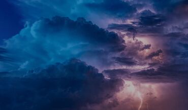 район баят: 5 соток, Красная книга