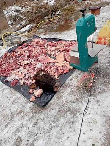топоры для рубки мяса: Ленточная пила по мясу Альфа AF480 Профессиональный станок для — 2
