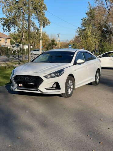 хендай марки: Hyundai Sonata: 2018 г., 2 л, Автомат, Газ, Седан