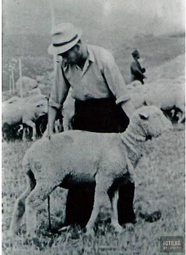 Ремонт, реставрация одежды: Ремонт, реставрация одежды — 10