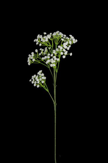 декоративный цветок: Цветок декоративный - Гипсофила филлер для интерьера, высота