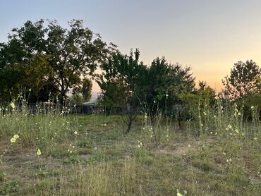 Torpaq sahələrinin satışı: 10 sot, Tikinti, Mülkiyyətçi, Kupça (Çıxarış) — 6