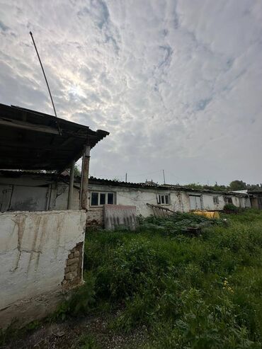 Сельхоз предприятия: САТЫЛАТ — ӨНӨР ЖАЙ УЧАСТОГУ / БАЗА — 26