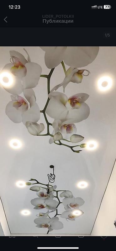 Натяжной потолок: Натяжной потолок Глянцевое, Матовое, 3D потолки Гарантия, Бесплатная консультация, Бесплатный замер — 6