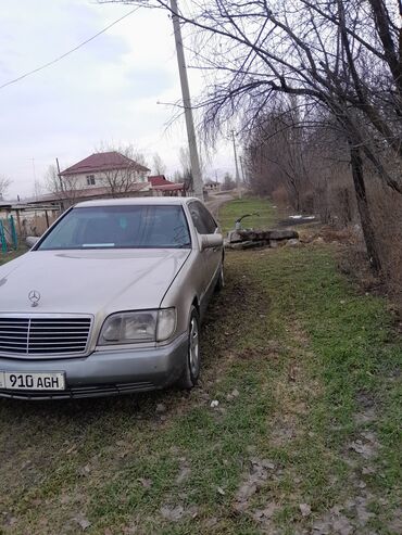 мерседес s500: Mercedes-Benz S-Class: 1991 г., 3.2 л, Механика, Бензин, Седан