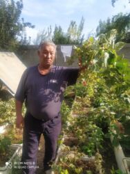 Фрукты и ягоды: Саженцы малина сорт Атлант маравела.паланес.вайалет.мапема аронжовая — 8