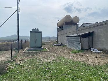 fermaya: FERMA satılır Pirəkəşkül qəsəbəsində MAL,QOYUN,QUŞ FERMALARI MAL VƏ — 1