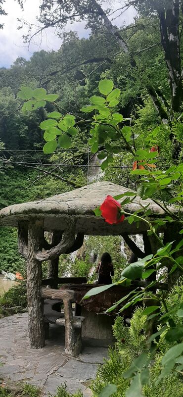 Sərnişin daşımaları: Minivan, 8 Oturacaq — 8