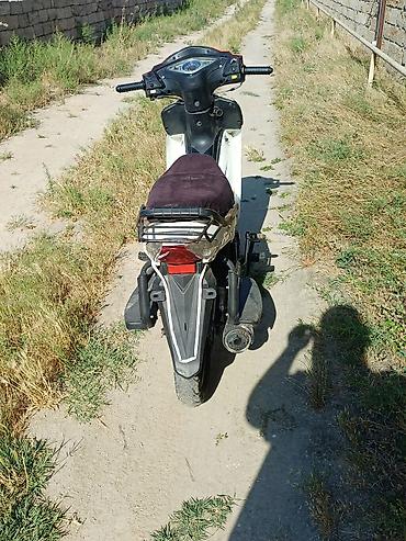купить мопед в кредит: Moped tipli motosiklet – şəhər içi gediş-gəliş üçün praktik model — 4