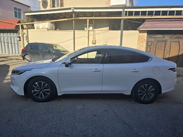 BYD: BYD Qin Plus (plug-in hibrid sedan) - Kuzov: liftbek tipli sedan, ağ — 2