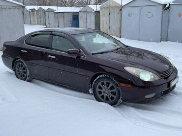 ес класс: Lexus ES: 2004 г., 3 л, Автомат, Газ